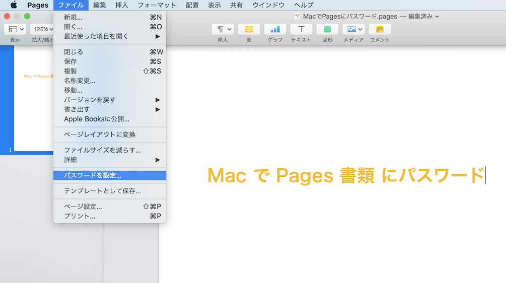 MacPagesPassword 2