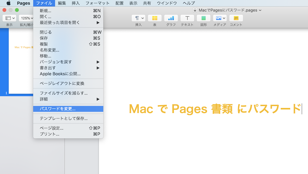 MacPagesPassword 6