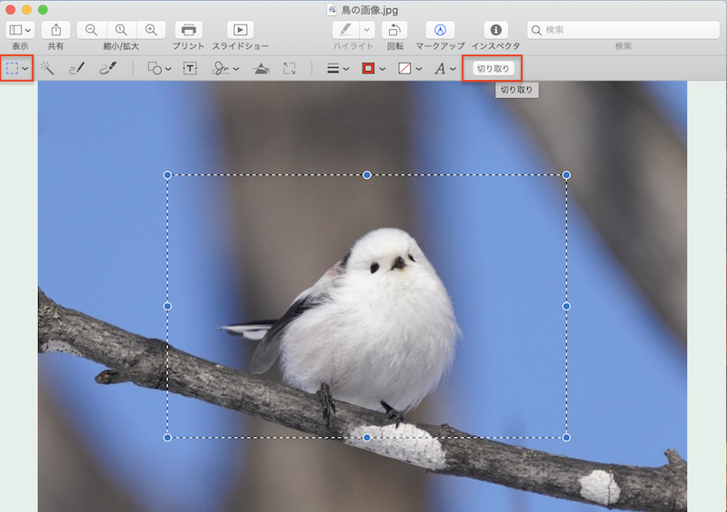 Mac のプレビューで画像のトリミングや背景削除 透過 などの編集を行う方法 Pc It I Tsunagu