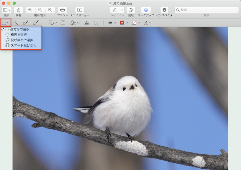 Mac のプレビューで画像のトリミングや背景削除 透過 などの編集を