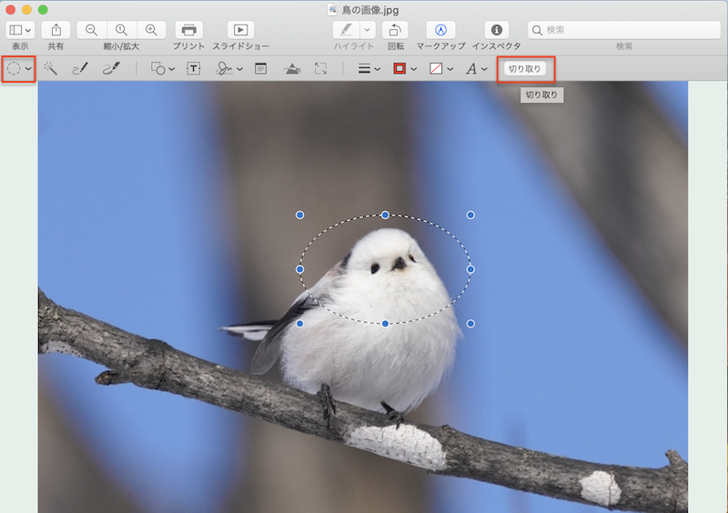 Mac のプレビューで画像のトリミングや背景削除 透過 などの編集を行う方法 Pc It I Tsunagu